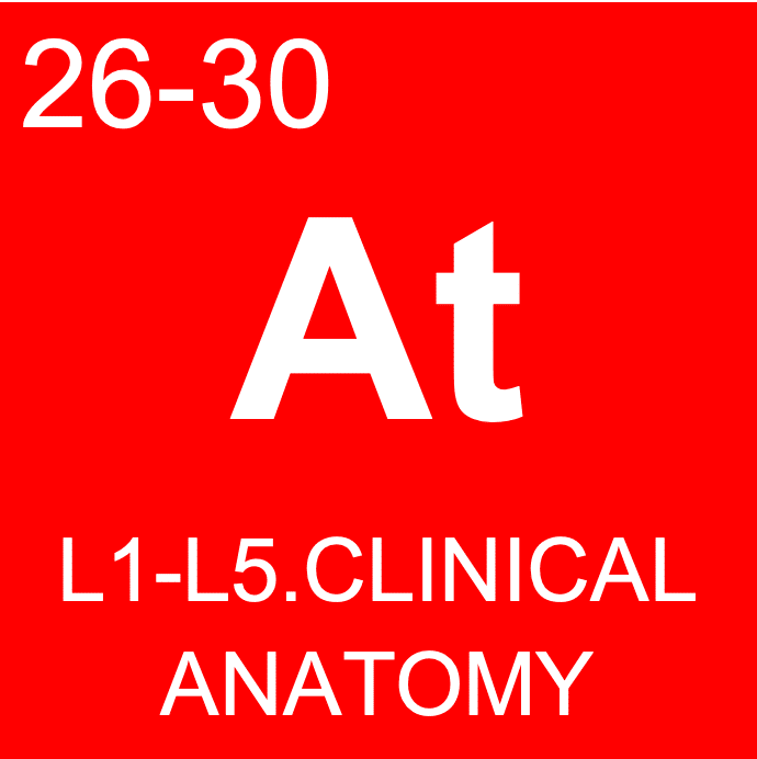 26_At-A