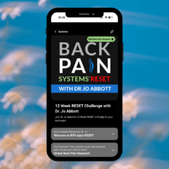 12 Wk RESET Challenge