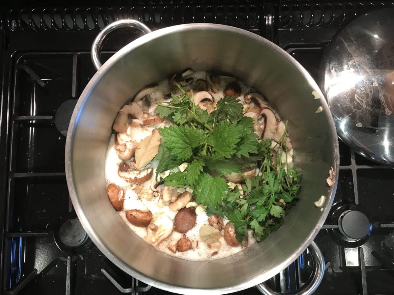 jo abbotts amazing mushroom soup