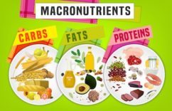Macronutrients Main food groups