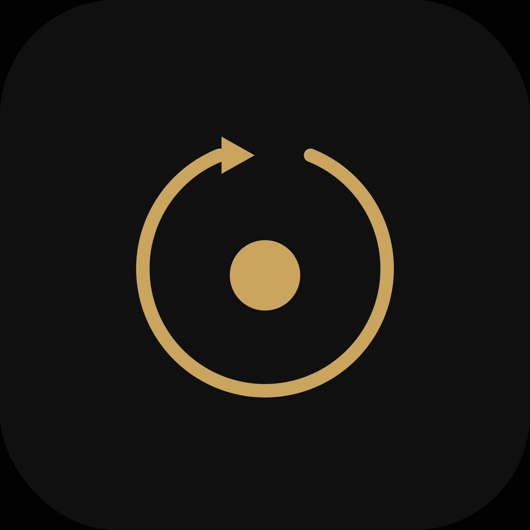 BPS RESET Solo icon